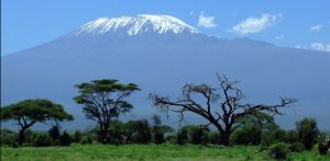 How the global Pandemic Fund can live up to its great potential | Opinion