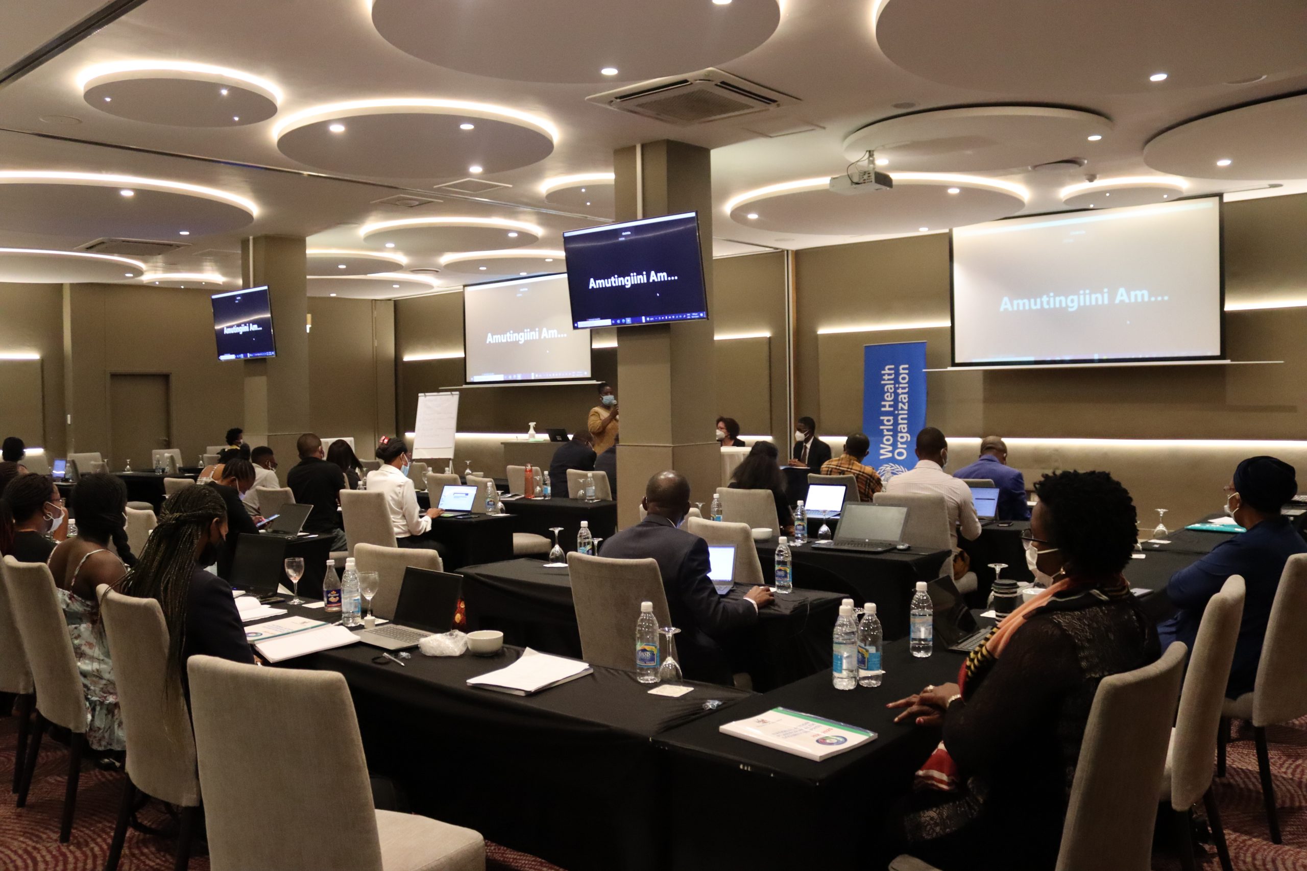 Namibia reviews the performance of the health sector including financing for health