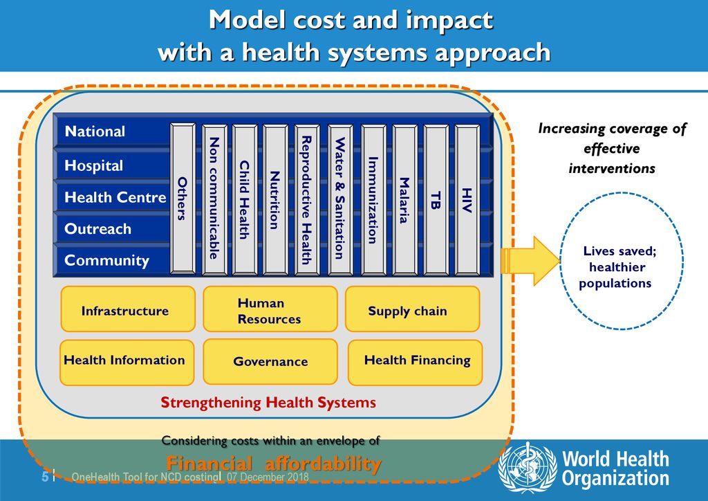 Mozambique to update costing of health services with OneHealth tool
