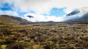 New Zealand has allocated $22 million to fund health services for Māori