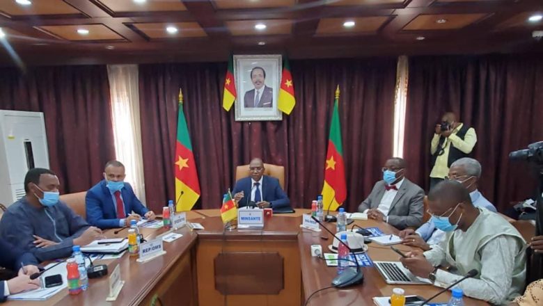 Cameroon: Stakeholders finetune govt Coronavirus response strategy