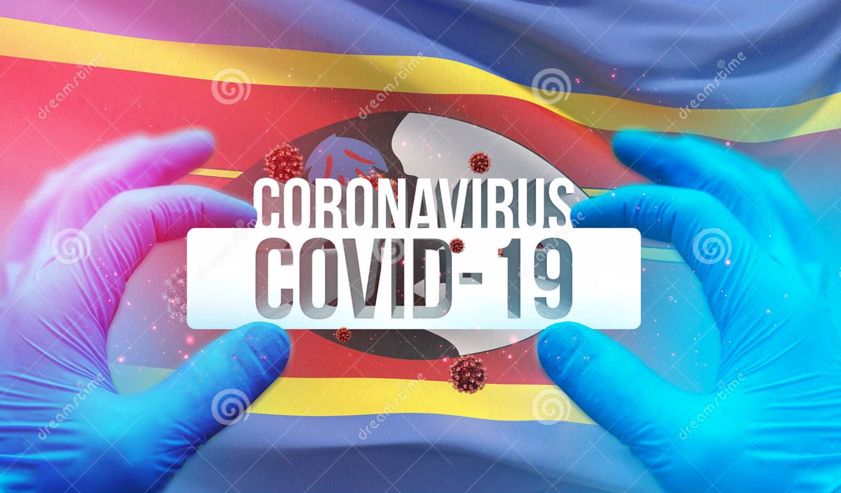 Eswatini COVID-19 response gets a boost