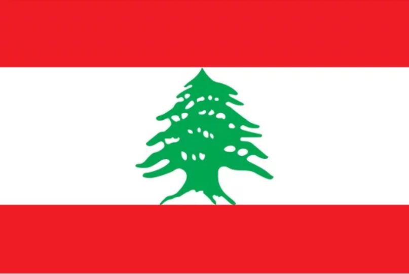 Lebanon health sector receives international support