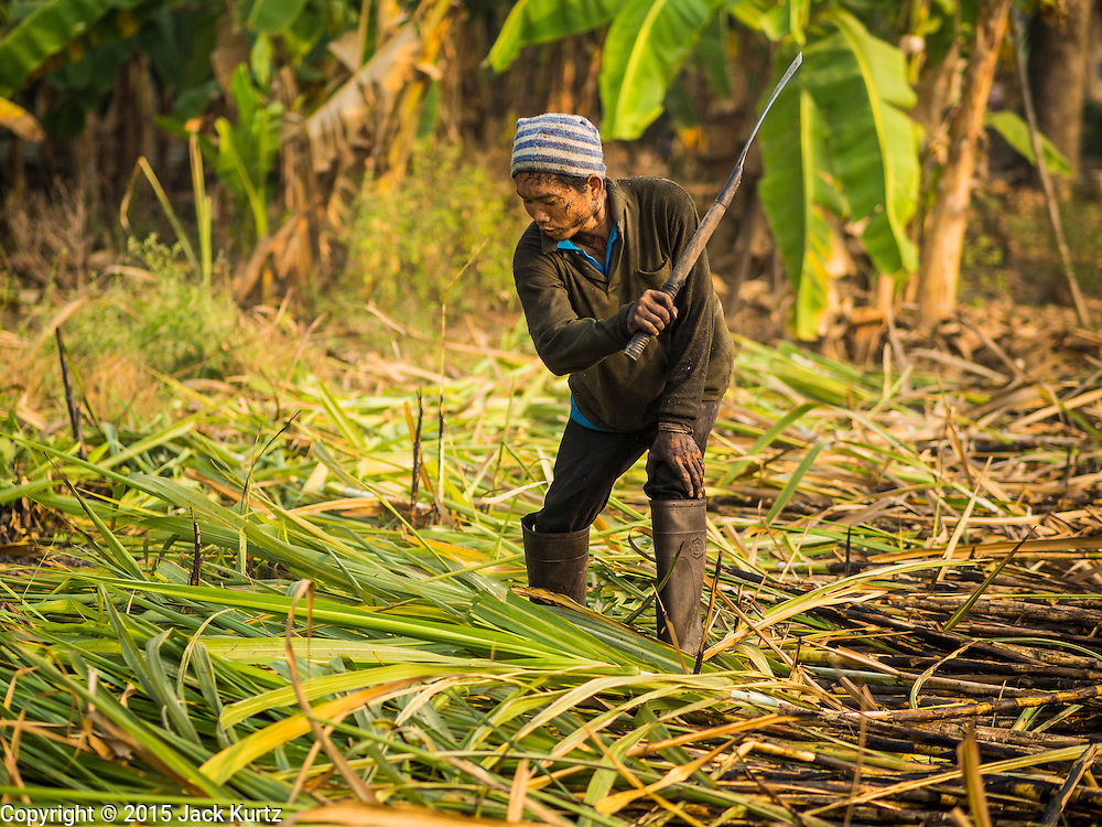 Labour Ministry considers vaccination of foreign migrant workers covered by social security scheme